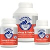 ed online store levitra ed online store levitra