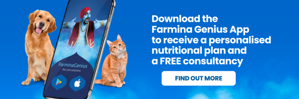 Get a personalised pet nutrition plan with the Farmina Genius App