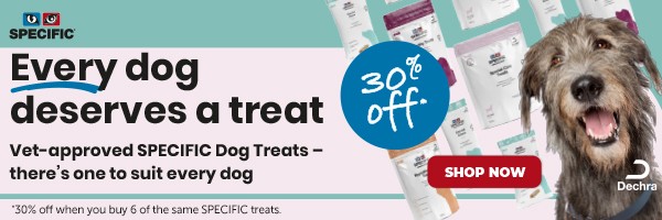 Save 30% when you buy 6 Specific Dog Treats