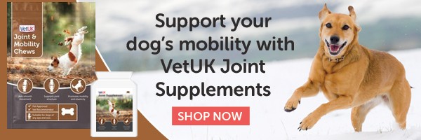 Support your dog’s mobility with VetUK Joint Supplement Tablets