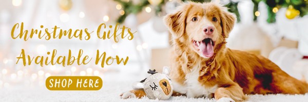 Shop Christmas gifts for pets from just £1.36