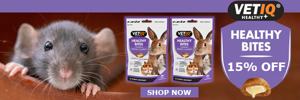 Save 15% on VetIQ Healthy Bites for Small Animals