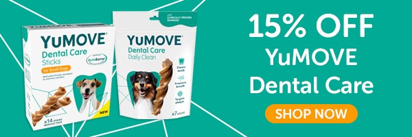 Save 15% on YuMOVE Dental Care