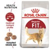 Royal Canin Regular Fit 32 Adult Dry Cat Food