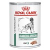 Royal Canin Diabetic Special Tins for Dogs