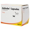 Antirobe 25mg Capsules for Cats and Dogs