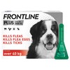 FRONTLINE Plus Flea and Tick Treatment for Extra Large Dogs