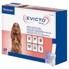 Evicto 120mg Spot-On Solution for Medium Dogs (4 Pipettes)