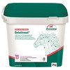 PrimeVal Gelatinaat Powder for Horses 2kg