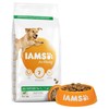 Iams for Vitality Large Breed Adult Dog Food (Lamb) 12kg
