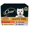 Cesar Country Stew Adult Wet Dog Food Trays in Gravy