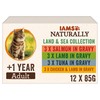 Iams Naturally 1+ Adult Cat Food Pouches (Land & Sea Collection)