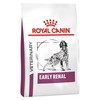 Royal Canin Early Renal Dry Food for Dogs