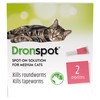 Dronspot Spot On Wormer for Medium Cats