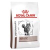 Royal Canin Hepatic Dry Food for Cats