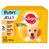 Pedigree Puppy Wet Dog Food Pouches in Jelly (Mixed Selection)