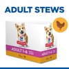 Hills Science Plan Adult 1-6 Small & Mini Wet Dog Food (Delicious Selection)