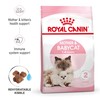 Royal Canin Mother & Babycat Dry Kitten Food