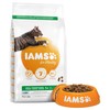Iams for Vitality Adult Cat Food (Ocean Fish)