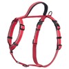Halti Walking Adjustable Dog Harness (Red)