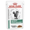 Royal Canin Satiety Pouches for Cats
