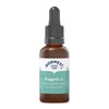 Dorwest Fragaria Liquid for Dogs and Cats 15ml