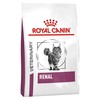 Royal Canin Renal Dry Food for Cats
