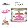 Royal Canin First Age Mother & Babycat Tins Kitten Food
