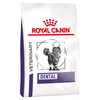 Royal Canin Dental Dry Food for Cats