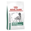 Royal Canin Satiety Dry Food for Dogs