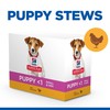 Hills Science Plan Puppy <1 Small & Mini Wet Dog Food (Chicken)