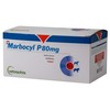 Marbocyl P Tablet 80mg