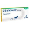Clindabactin 220mg Chewable Tablets for Dogs