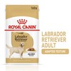 Royal Canin Labrador Retriever Adult Wet Dog Food in Gravy