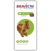Bravecto 500mg Chewable Tablets for Medium Dogs
