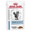 Royal Canin Skin & Coat Wet Food Pouches for Cats