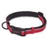 Halti Walking Adjustable Dog Collar (Red)