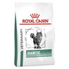 Royal Canin Diabetic Dry Food for Cats
