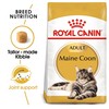 Royal Canin Maine Coon Adult Cat Food