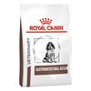 Royal Canin Gastro Intestinal Dry Food for Puppies