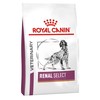 Royal Canin Renal Select Dry Food for Dogs