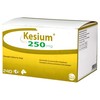 Kesium 250mg Chewable Tablets for Dogs