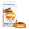 Iams for Vitality Dental Adult Cat Food (Fresh Chicken) 3Kg