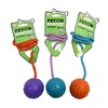 Good Boy Rubber Ball on Rope Dog Toy