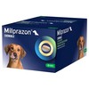 Milprazon 12.5mg/125mg Chewable Tablets for Dogs