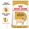 Royal Canin Labrador Retriever Adult Dry Dog Food 12kg