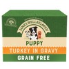James Wellbeloved Grain Free Puppy Wet Dog Food Pouches