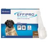 Effipro for Extra Large Dogs (4 Pipettes)
