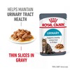 Royal Canin Urinary Care Adult Wet Cat Food in Gravy