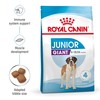 Royal Canin Giant Junior Dry Food 15Kg